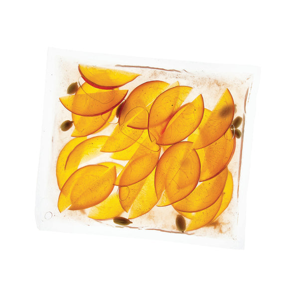 Boilable Sous Vide Pouches